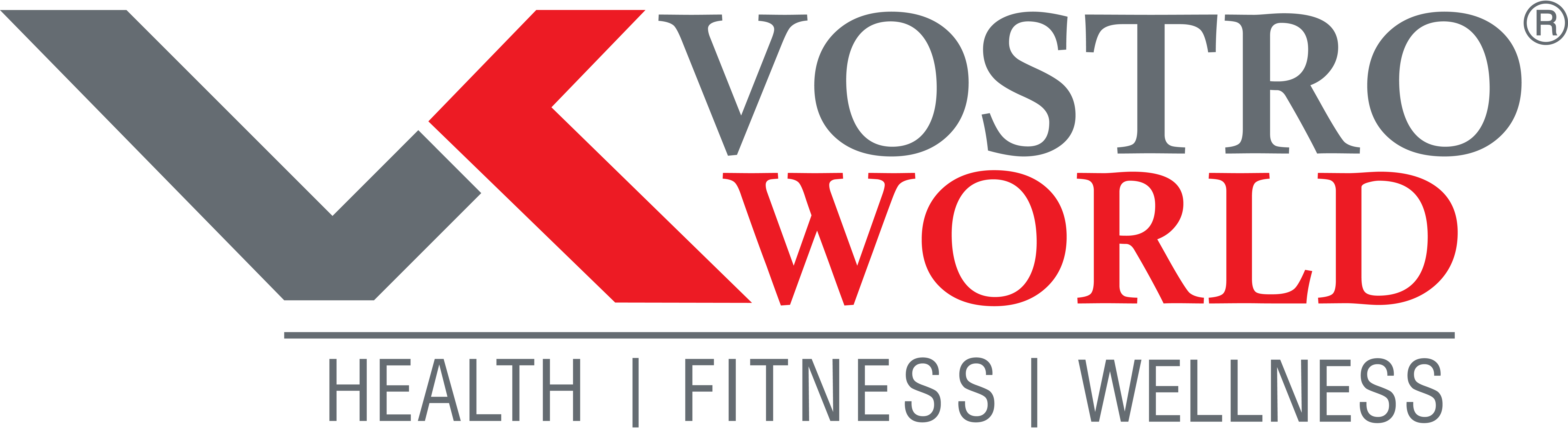 Vostro Logo - Red and Grey (1)